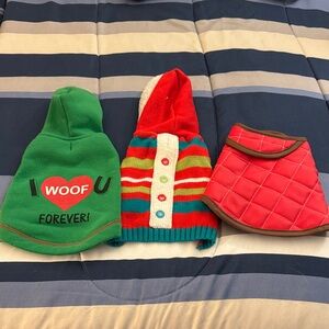 Colorful Dog Sweater Set
